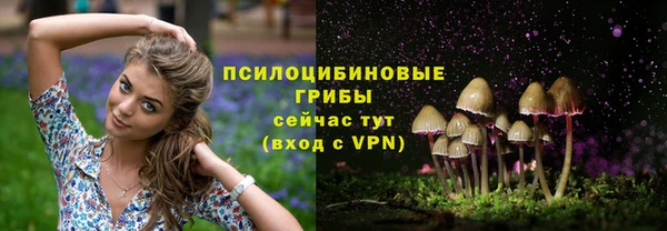 винт Ладушкин